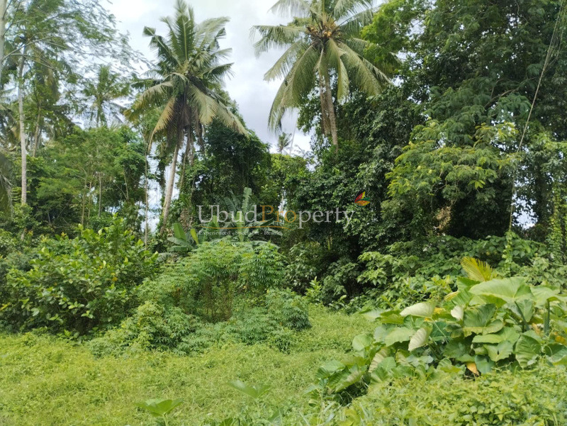 Ubud Property Land For Sale in Ubud Bali