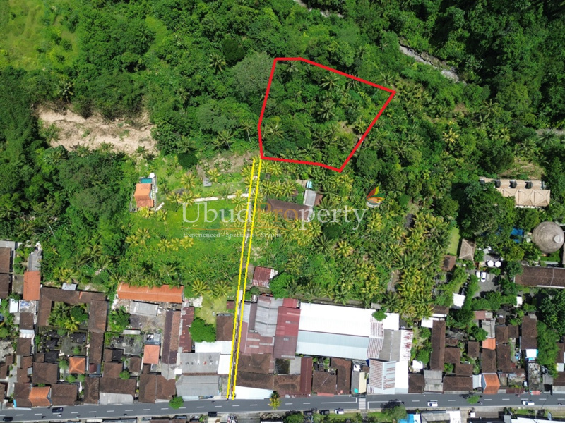 Land For Sale Leasehold in Ubud Bali
