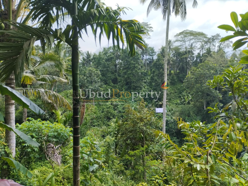Ubud Property Land For Sale in Ubud Bali