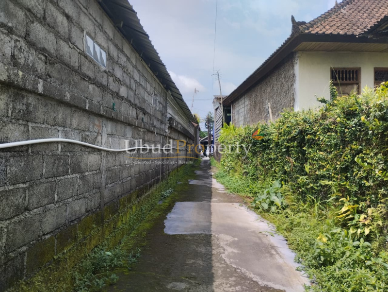 Ubud Property Land For Sale in Ubud Bali