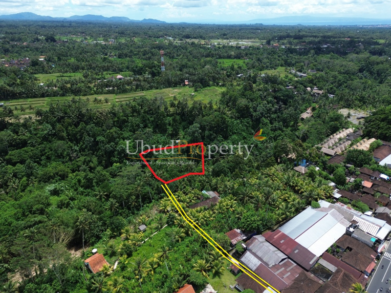 Ubud Property Land For Sale in Ubud Bali