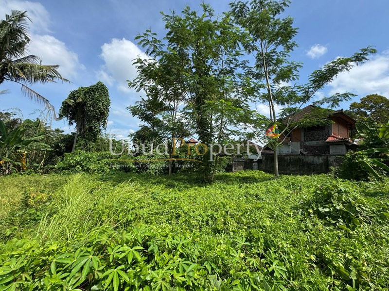 Ubud Property Land For Sale in Ubud Bali