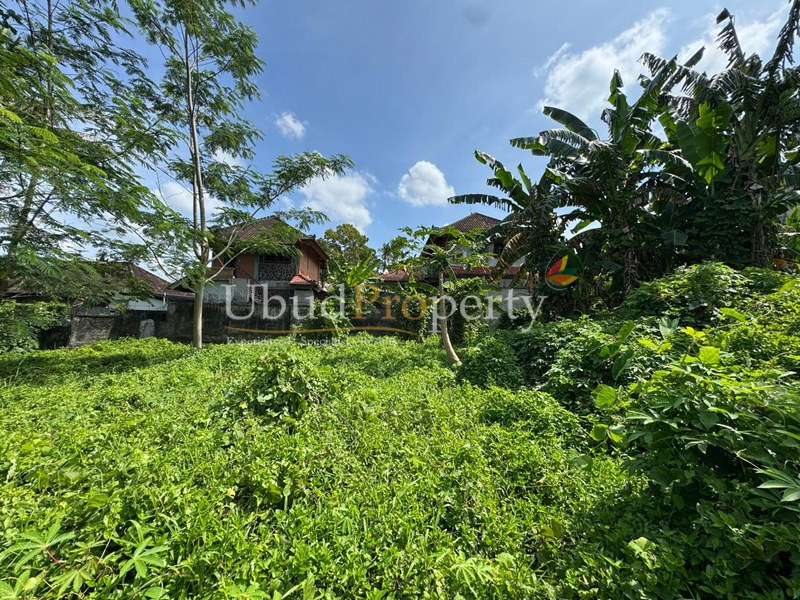 Ubud Property Land For Sale in Ubud Bali