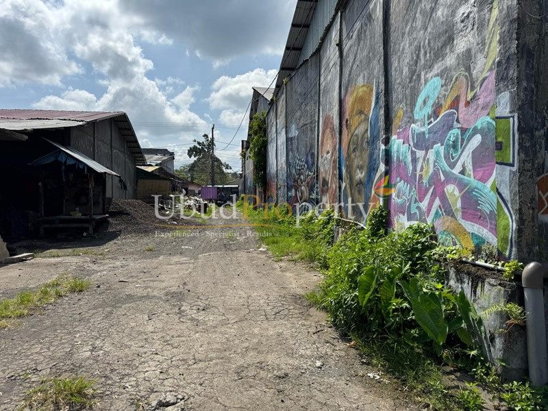 Ubud Property Land For Sale in Ubud Bali