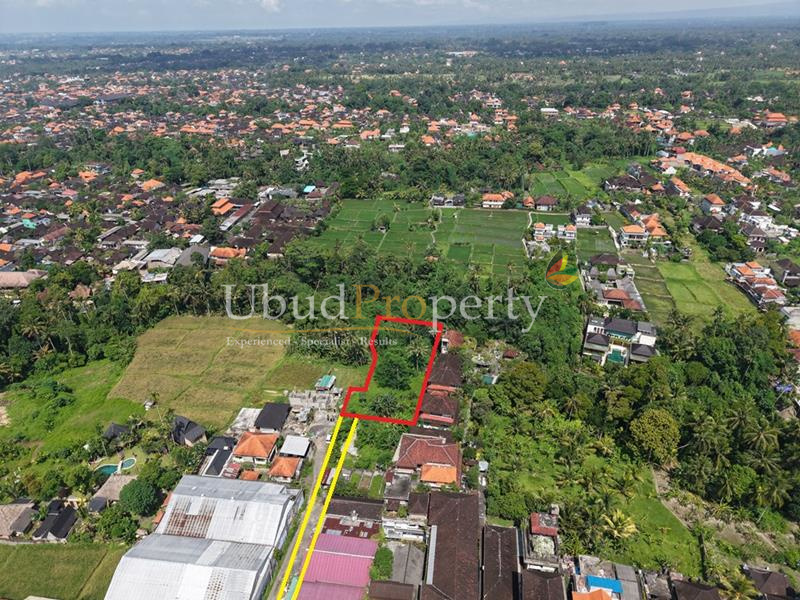 Ubud Property Land For Sale in Ubud Bali