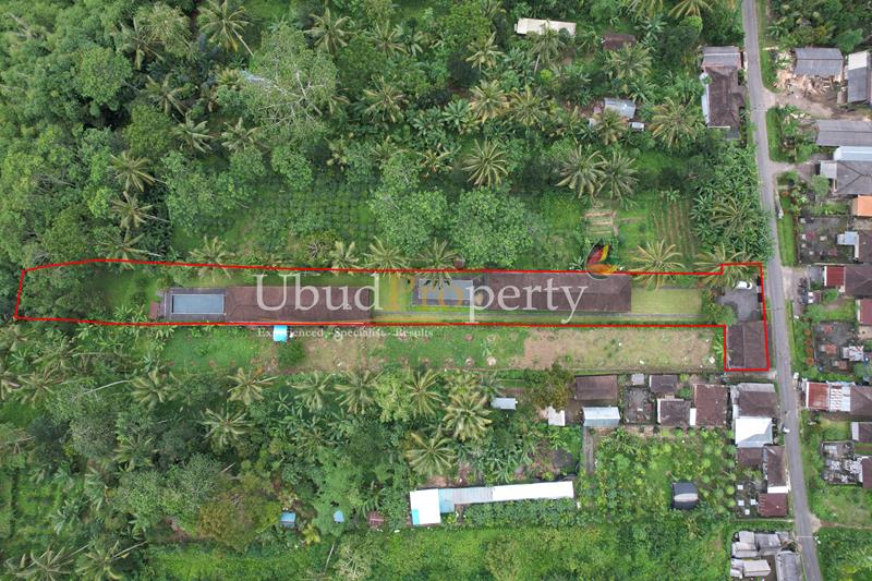 Ubud Property Villa For Sale in Ubud Bali