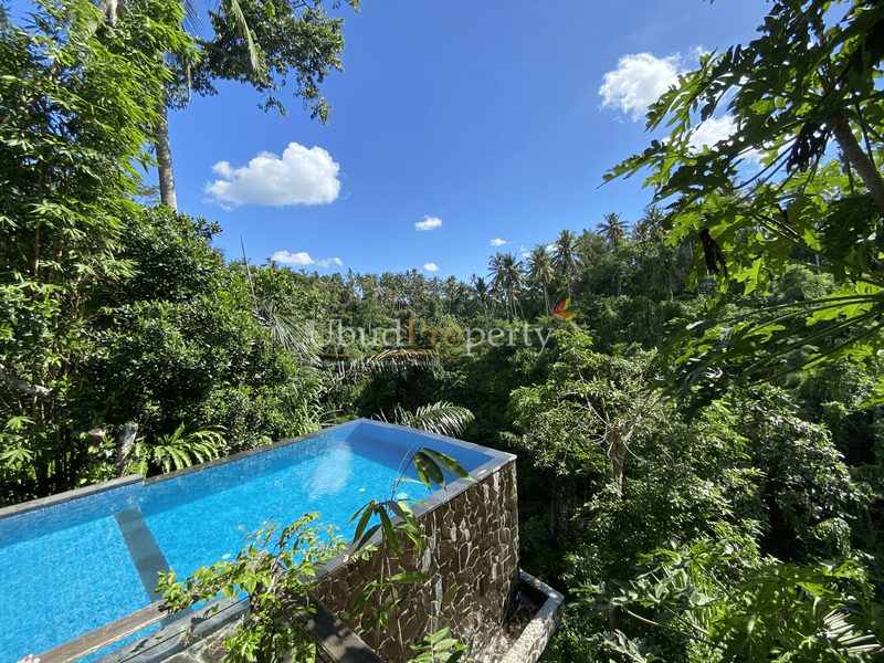 Villa For Sale Leasehold in Ubud Bali