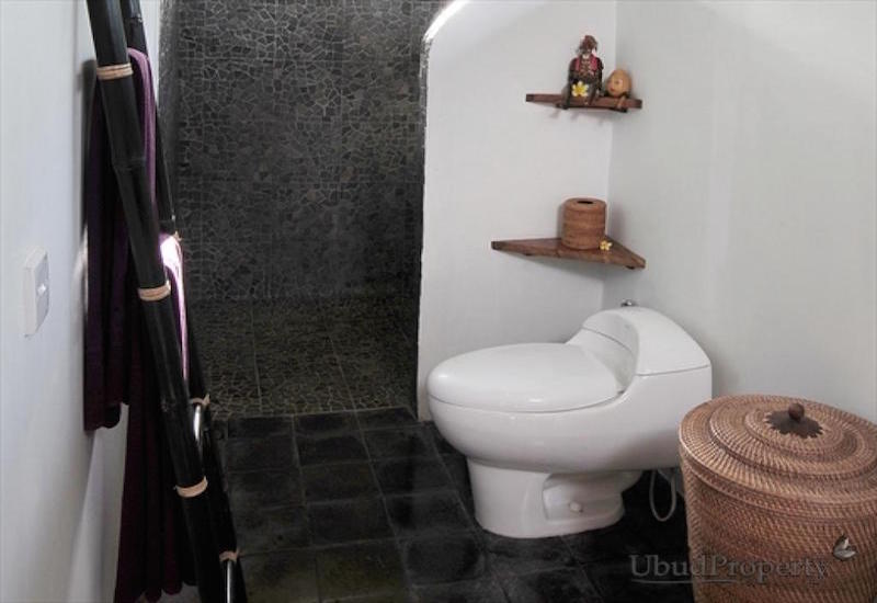 Villa for Rent in Ubud