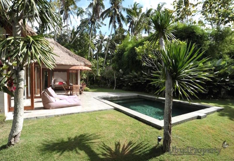Villa for Rent in Ubud