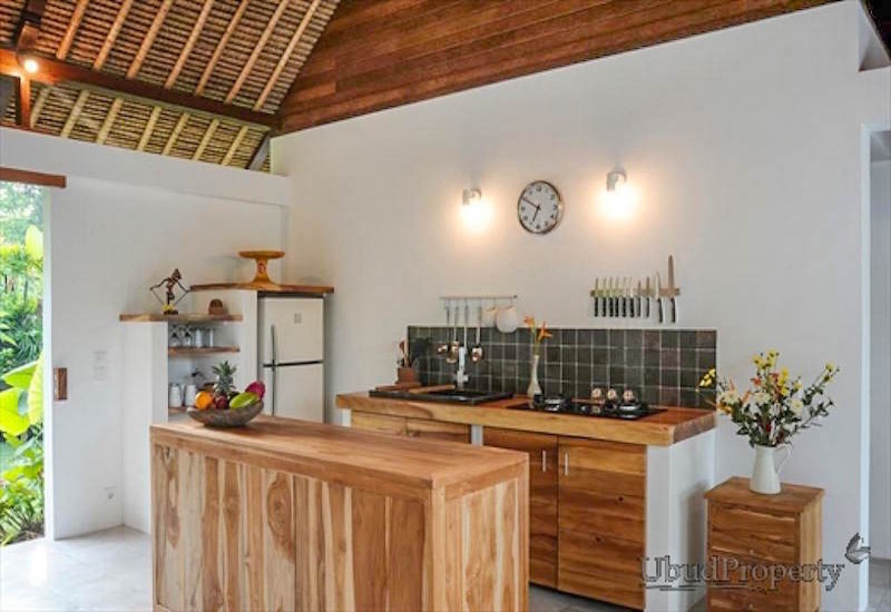 Villa for Rent in Ubud