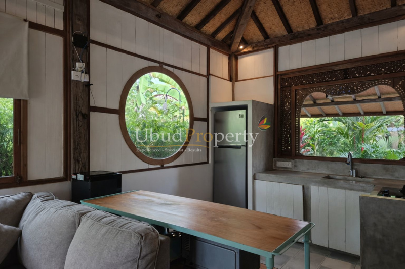 Ubud Property Villa For Sale in Ubud Bali