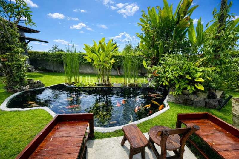 Ubud Property Villa For Sale in Ubud Bali