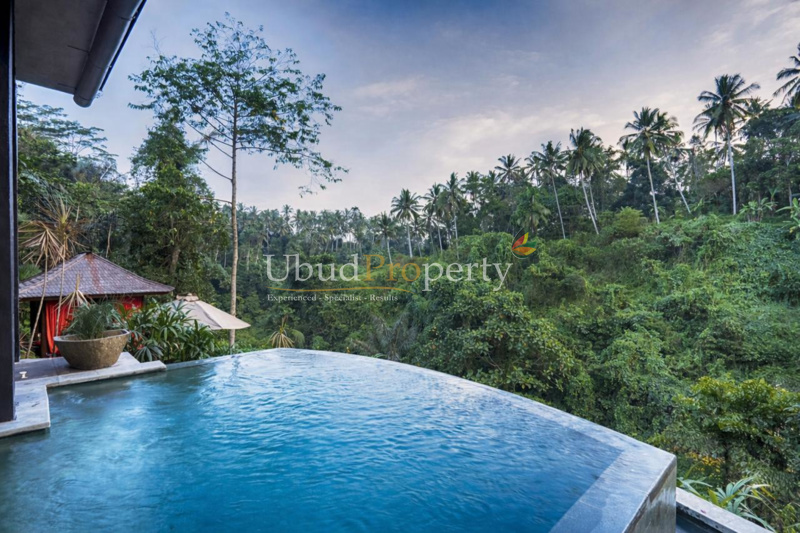 Villa For Sale Leasehold in Ubud Bali