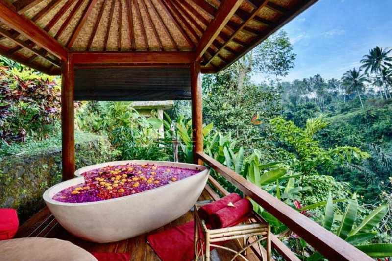 Ubud Property Villa For Sale in Ubud Bali