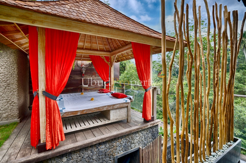 Ubud Property Villa For Sale in Ubud Bali