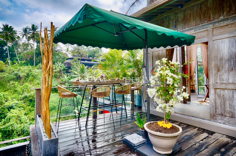 Ubud Property Villa For Sale in Ubud Bali