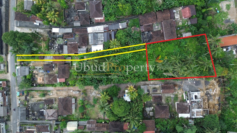Land For Sale Freehold in Ubud Bali