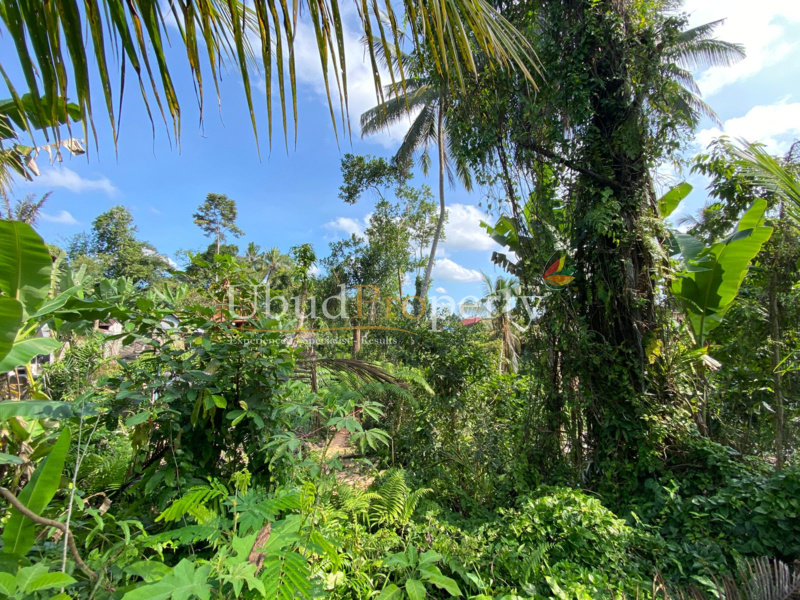 Ubud Property Land For Sale in Ubud Bali