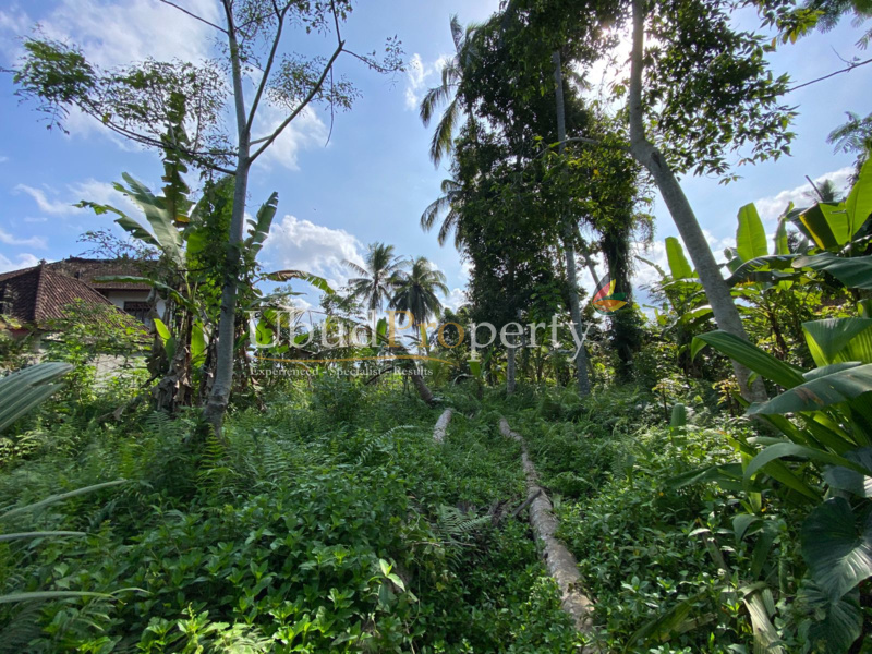 Ubud Property Land For Sale in Ubud Bali