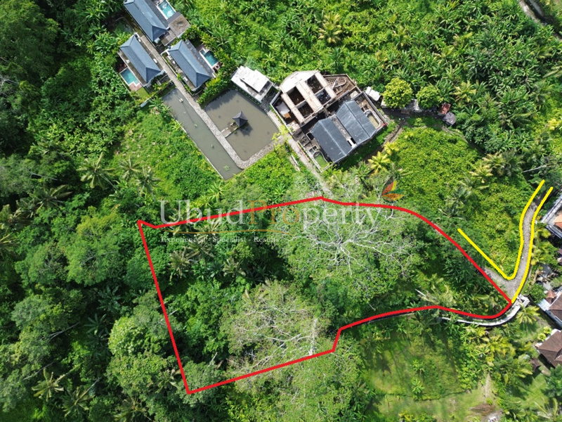 Land For Sale Freehold in Ubud Bali