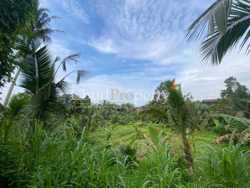 Ubud Property Land For Sale in Ubud Bali
