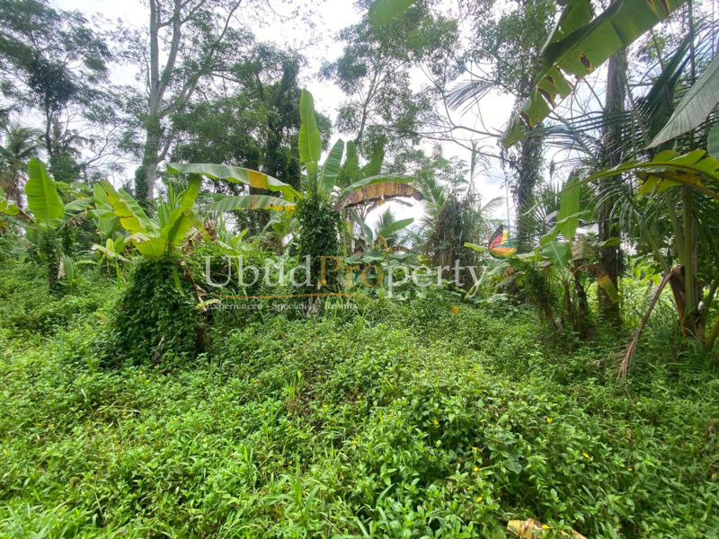Ubud Property Land For Sale in Ubud Bali