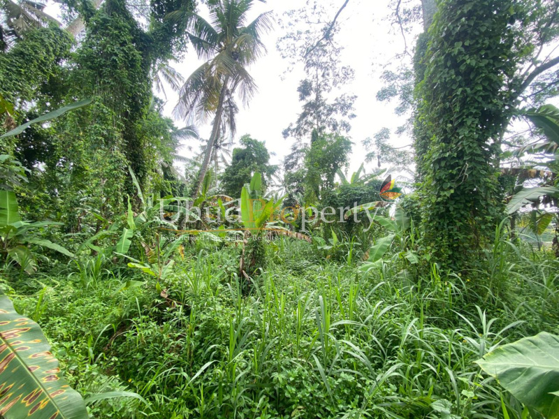 Ubud Property Land For Sale in Ubud Bali