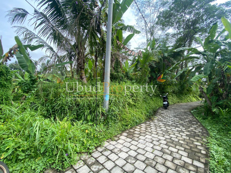 Ubud Property Land For Sale in Ubud Bali
