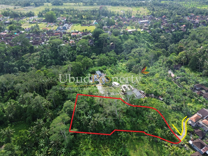 Ubud Property Land For Sale in Ubud Bali