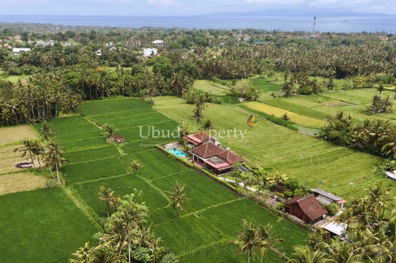 Ubud Property Villa For Sale in Ubud Bali