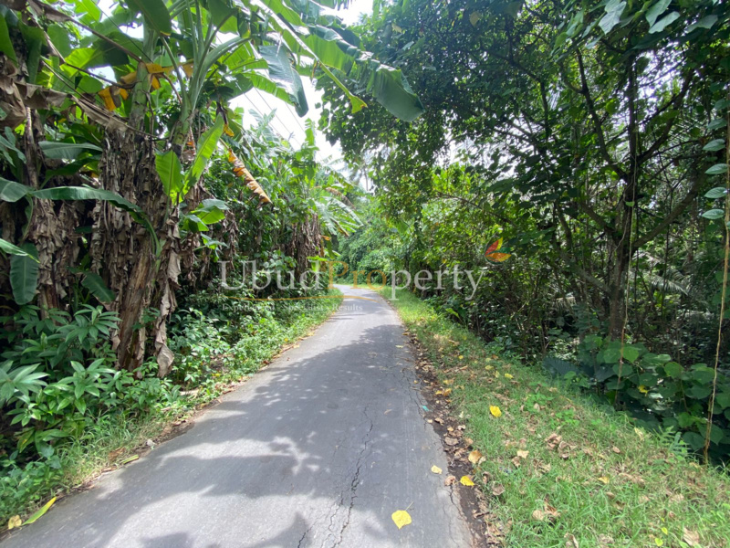 Ubud Property Land For Sale in Ubud Bali