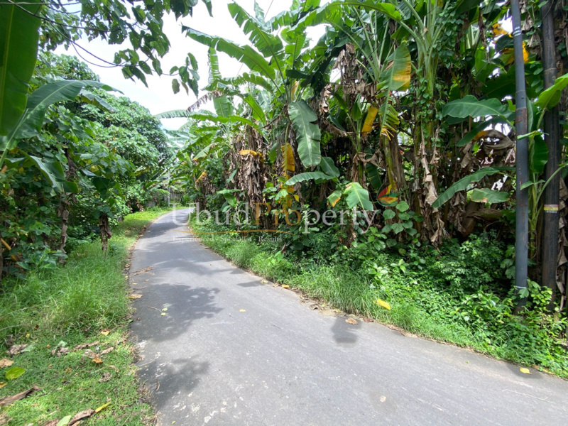 Ubud Property Land For Sale in Ubud Bali