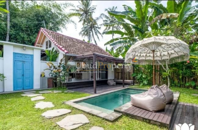 Ubud Property Villa For Sale in Ubud Bali