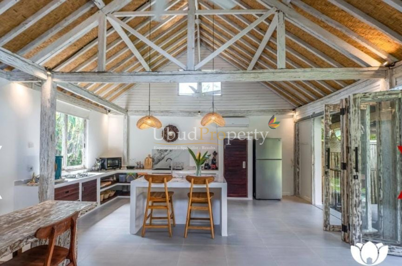 Ubud Property Villa For Sale in Ubud Bali