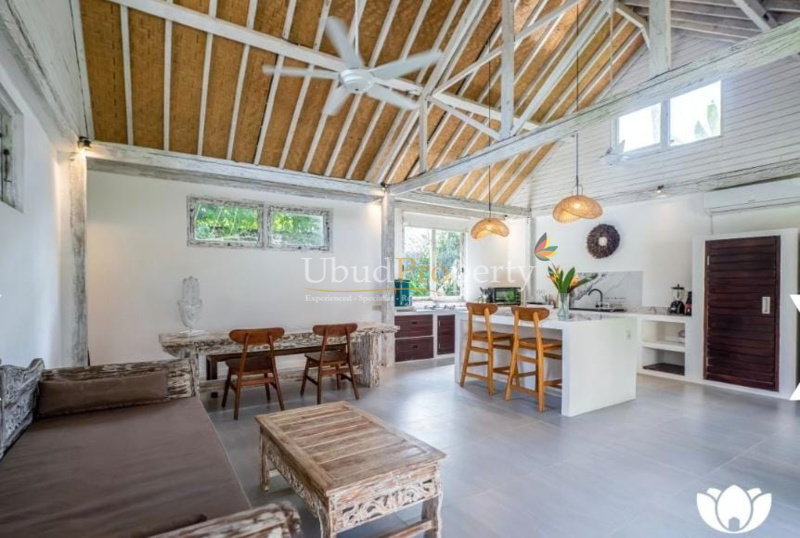 Ubud Property Villa For Sale in Ubud Bali