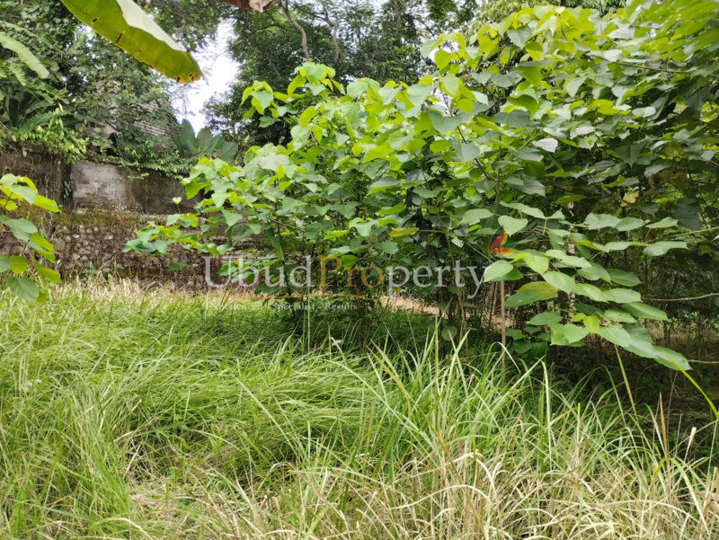 Ubud Property Land For Sale in Ubud Bali