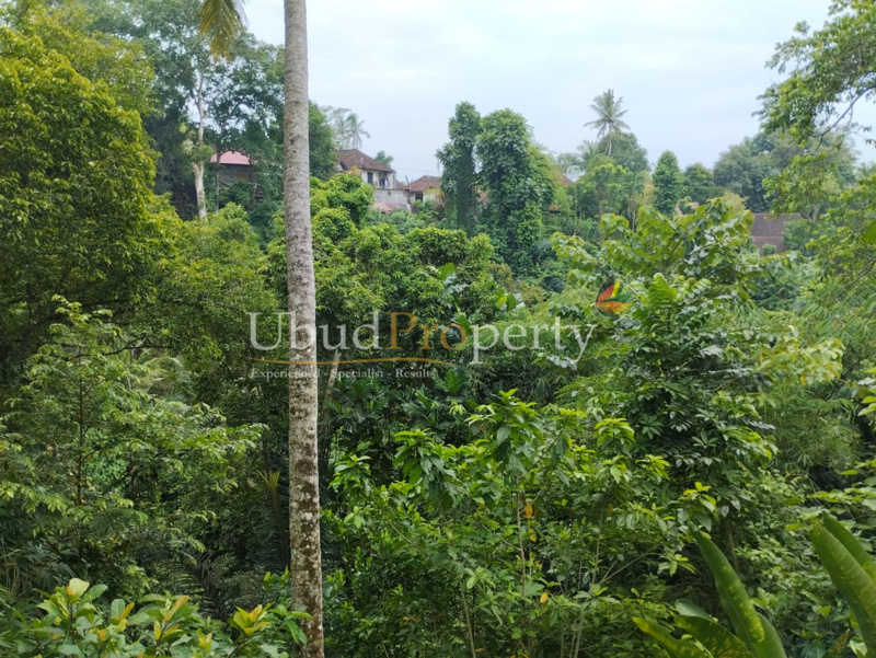 Ubud Property Land For Sale in Ubud Bali