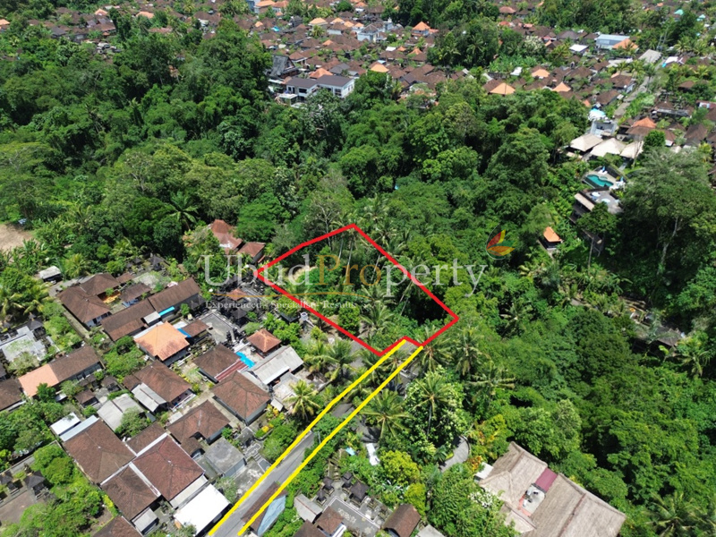Ubud Property Land For Sale in Ubud Bali