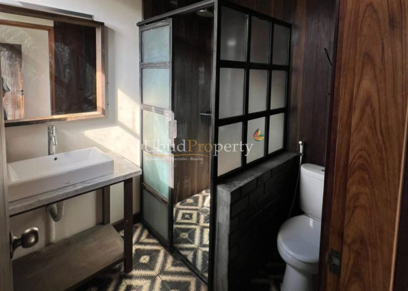 Ubud Property Villa For Sale in Ubud Bali