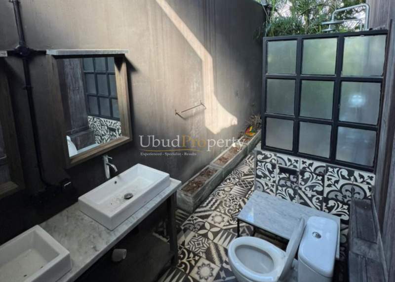 Ubud Property Villa For Sale in Ubud Bali