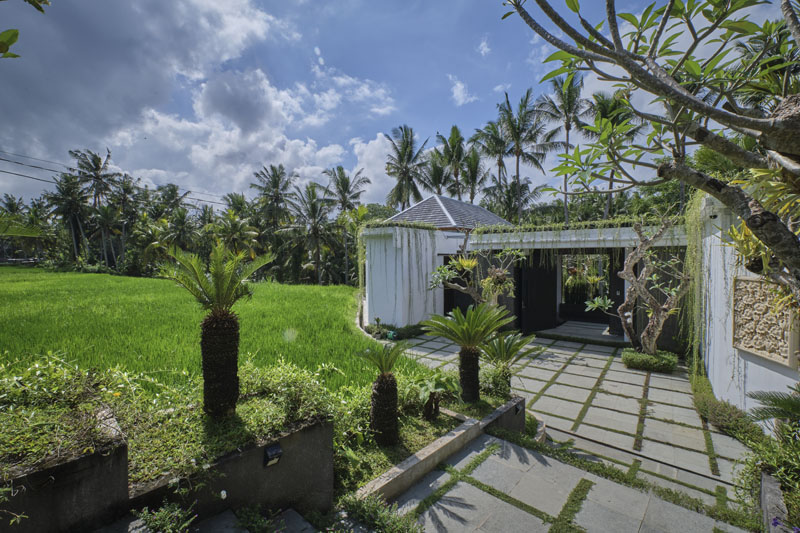 Villa for Rent Ubud