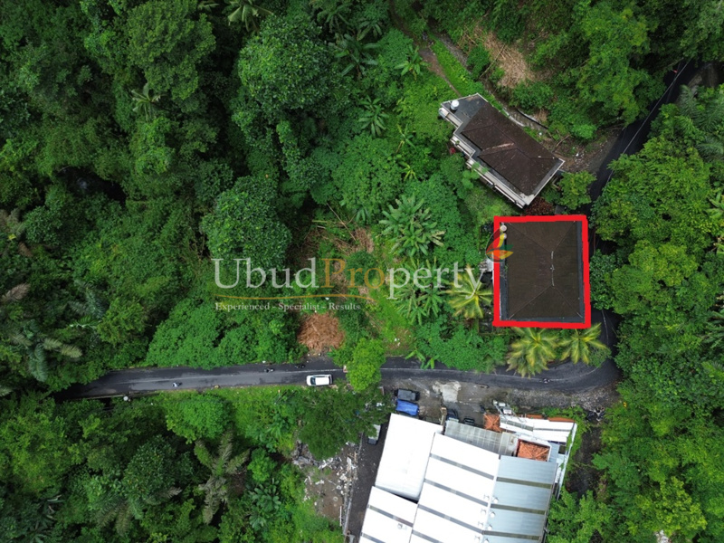 Villa For Sale Freehold in Ubud Bali