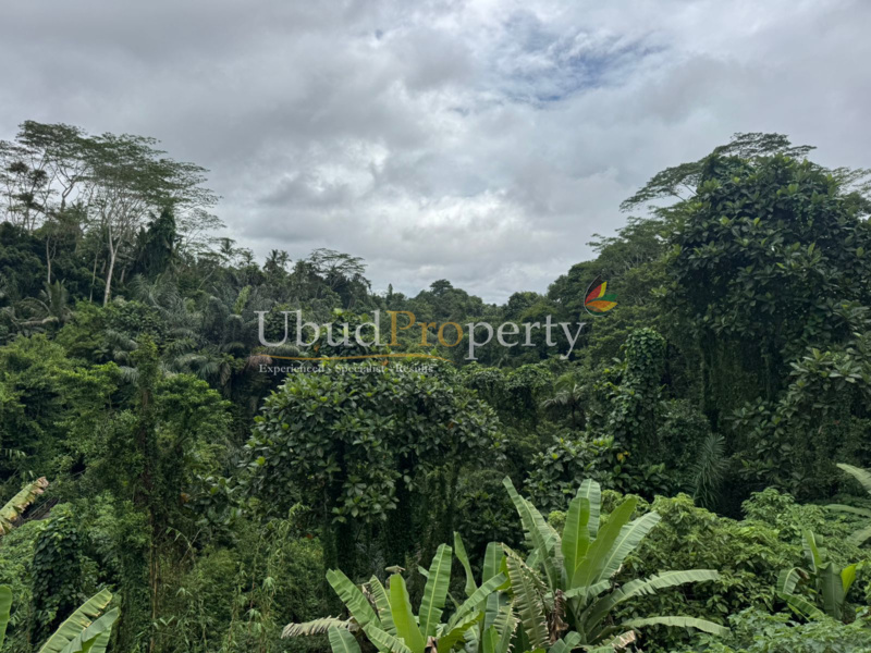 Ubud Property Villa For Sale in Ubud Bali