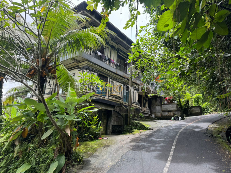 Ubud Property Villa For Sale in Ubud Bali