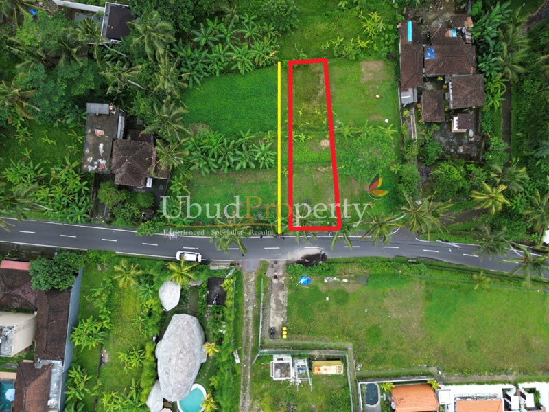 Land For Sale Leasehold in Ubud Bali
