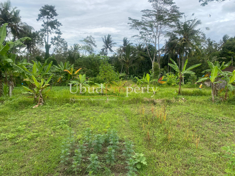Ubud Property Land For Sale in Ubud Bali