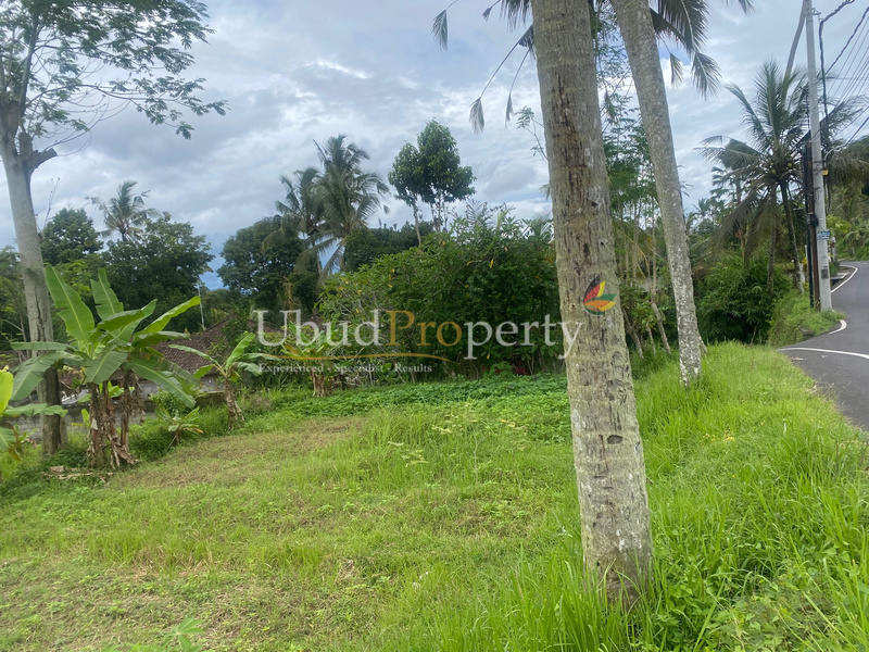 Ubud Property Land For Sale in Ubud Bali