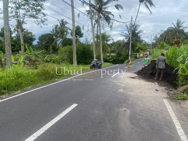 Ubud Property Land For Sale in Ubud Bali