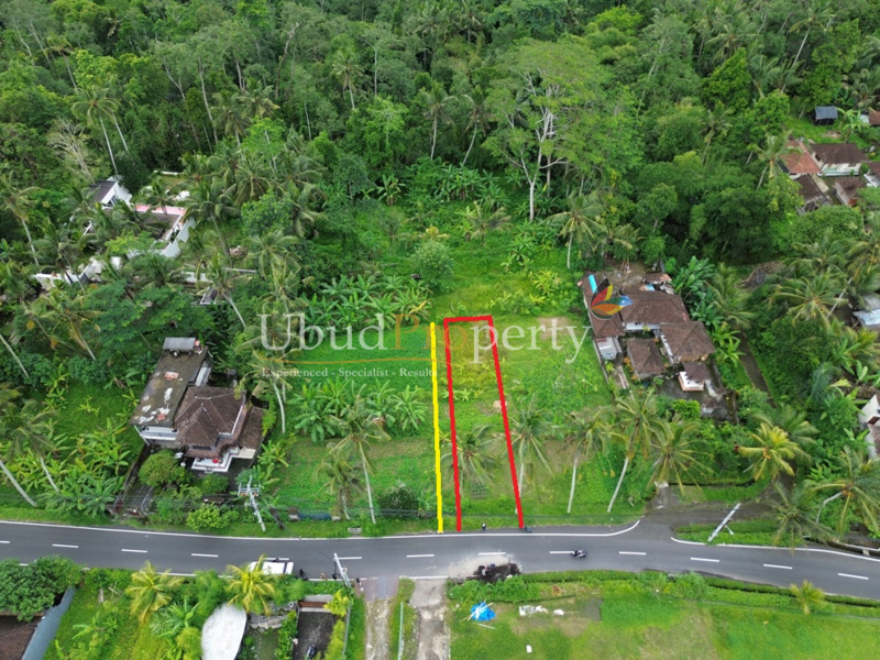 Ubud Property Land For Sale in Ubud Bali