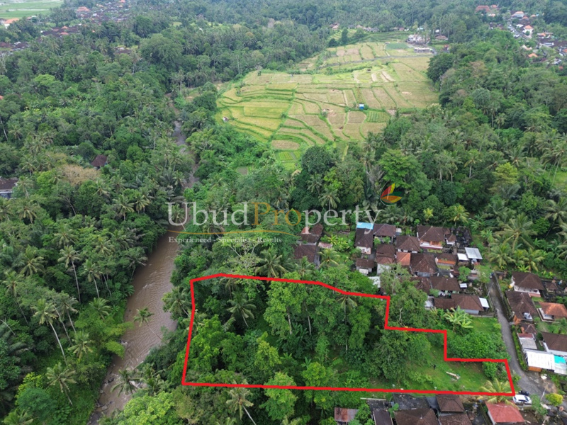 Land For Sale Freehold in Ubud Bali